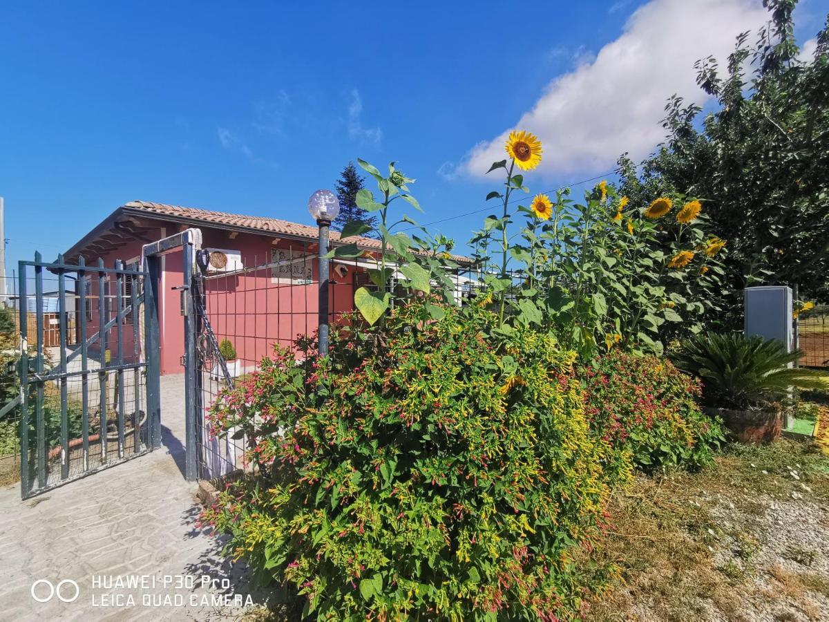 Bed And Breakfast "Anna" Bagnara Calabra Extérieur photo